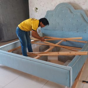 Furniture Transfer